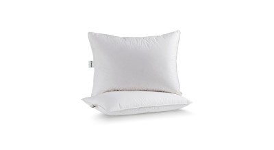 Queen Goose Pillow
