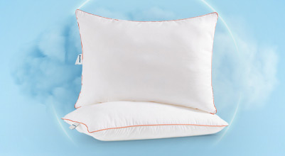 Pillow & Pillowcase