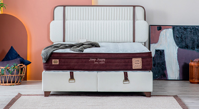 Storage Bed